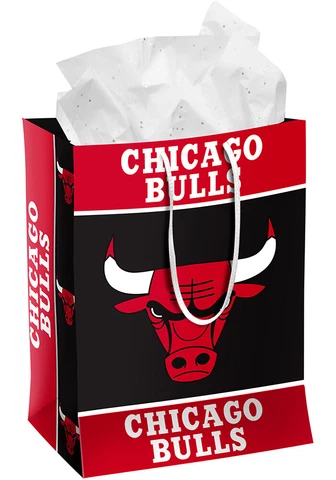 Chicago Bulls Team Color Medium Black Party Gift Bag Cover