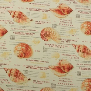 VILBER CHONCHA ENCHANTA CONCH SHELL LATIN SCRIPT COTTON FABRIC BY YARD 54"W - Picture 1 of 4