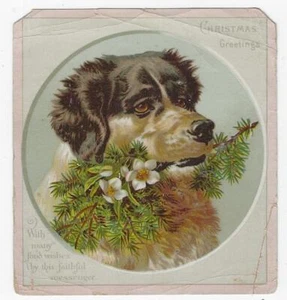 Auguri di Natale Cane Ramo Sempreverde Biglietto Vittoriano Holiday - Foto 1 di 2