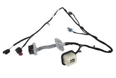 Arnés Cadillac CTS 2010 ASM RR S/D DR WRG 20845610 - NUEVO FABRICANTE DE EQUIPOS ORIGINALES 20845610 Foto 1 de 3