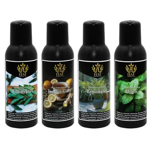 HAF® Sauna Aufgusskonzentrat Set Frische Briese 4 x 100ml Saunaduft Saunaaufguss - Bild 1 von 4