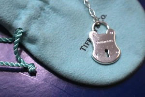 Tiffany &Co DIAMOND Arc Lock Padlock Pendant Fancy Oval Link Necklace RARE - Picture 1 of 11