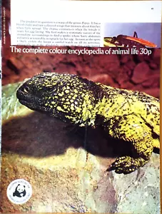WORLD of WILDLIFE No 48 THE DESERT WATER Jerboas SQUIRRELS Reptiles Orbis 1976 - Picture 1 of 1