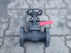 Fromme Flanged Wedge Gate Valve Dn25, Pn40 /#8 Na1m 5788