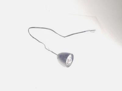 Harley Sportster XL 883 1200 2013 luz indicadora de señal de giro delantera derecha Foto 1 de 4