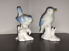 Vgel Vogel Paar auf Ast Porzellan blau wei Deko Geschenk Sammlung