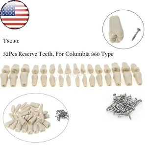US Dental Zahn Modell Columbia 860 Typ Dentoform mit 32 Stück Ersatzzähnen - Bild 1 von 11
