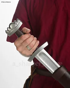 CAS Kingston Arms praktischer Wikinger Godfred Schwert stumpfer Stahl Kampf HEMA - Bild 1 von 9