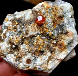 33g 1PC Brand new Rare Black SMOKY QUARTZ Crystal Point&Garnet Spessartine q326 - Picture 1 of 7