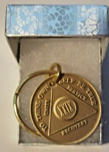 Alcoholics Anonymous 29 Year AA Bronze Medallion Key Chain Token coin key ring - Bild 1 von 8
