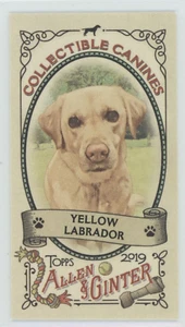 Yellow Labrador - 2019 Topps Allen & Ginters Mini Parallel #CC-15 - Canines - Picture 1 of 2