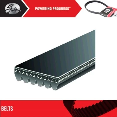 Puertas de cinturón Serpentine para HYUNDAI SONATA V6-2,5 L 1999-2001 Foto 1 de 4