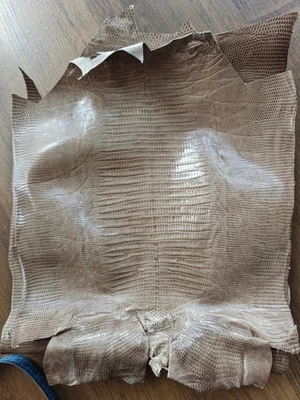 Genuine lizard iguana skin, genuine iguana leather, Exotic leather - Image 1 of 4