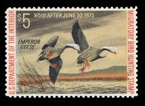 RW39  — XF-Superb 95, Mint NH - Picture 1 of 1