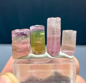 Bicolor Tourmaline Crystals Lot from Paprok Afghanistan - 30.50 carats - Picture 1 of 5