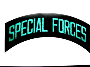 Decals (2), US Army Special Forces (Tab) - Picture 1 of 1