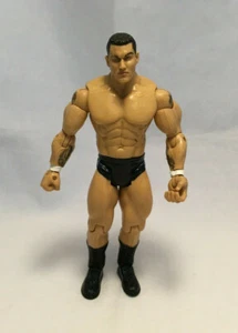 Randy Orton Blue Lettering 7" Wrestling Action Figure WWE WWF - Jakks 2003 - Imagen 1 de 5