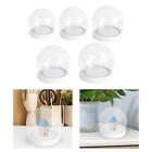 Clear Glass Dome with Base Container for Small Plant Decor Floral Decoration