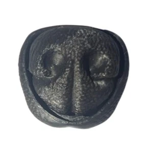 Hund Nase Fidget Clicker, Boop the snoot! kleine Neuheit Fidget Clicker Spielzeug - Bild 1 von 2