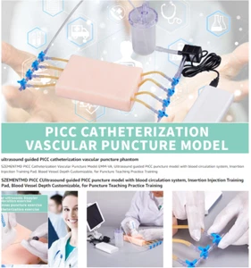 Modelo de punción de 4 vasos sanguíneos guiados por ultrasonido PICC circulación sanguínea enseñanza - Imagen 1 de 8