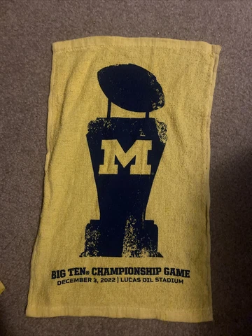 2022 Michigan Big 10 Championship Rally Towel Cover