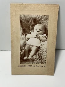 Antique Portrait Photograph Young Girl ~ Herzlich German Photographer ~ New York - Picture 1 of 3