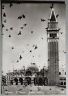 AK VENEZIA San Marco - Volata piccioni mit Tauben ITALIEN POSTCARD ITALY 1956
