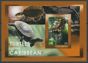 Antigua & Barbuda 2012 MNH Reptiles Stamps Turtles of Caribbean Mata Mata 1v S/S - Picture 1 of 1
