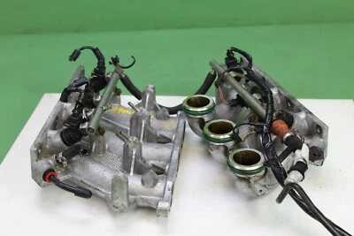 02-05 LAND ROVER FREELANDER LEFT RIGHT LOWER INTAKE MANIFOLD SET OEM Foto 1 de 4