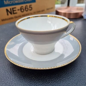 Pretty D&R W Porzellan (of Bavaria) Bone China Tea Cup & Saucer. - Picture 1 of 6