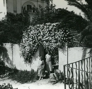 France Corse Ile Rousse Gardens of Hotel Europe Old Stereo Photo 1920 - Imagen 1 de 3