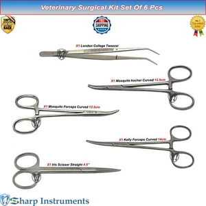 Veterinary Surgical Instruments Kit – Mosquito Forceps, Iris Scissors, C-Plier - Picture 1 of 12