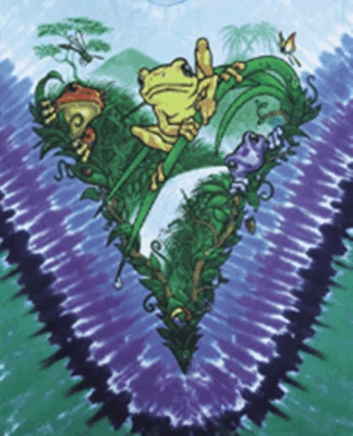 Fun Frogs NOVA camiseta XXL, XL adulto azul líquido vintage cinza logotipo etiqueta algodão - Imagem 1 de 4