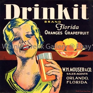 Florida Kiste Etikett Kunstdruck, Kind, ca. 10,8 Zoll x 10,8 Zoll 13114 - Bild 1 von 1