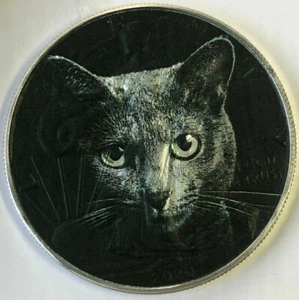 Grey Cat - American Silver Eagle Limited Edition .999 Silber Dollar Münze - Bild 1 von 3