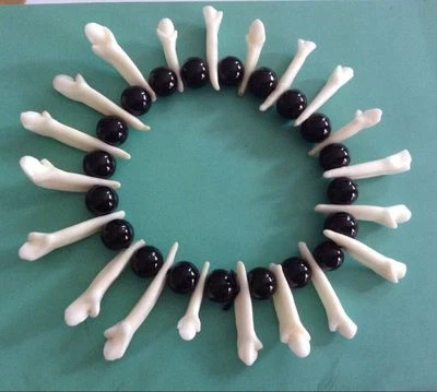 Nuevo Brazalete Brazalete Elástico Amuleto Trenzado Cuentas Hueso Diente Blanco 2 Estilos Foto 1 de 4