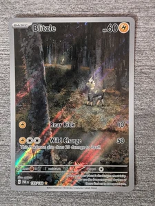 Pokémon TCG Blitzle 195/182 Illustration Rare Holo - P069 - Picture 1 of 2