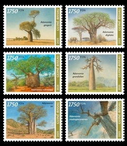 GUINEA BISSAU 2025 SET 6V - BAOBAB TREE TREES - MNH - Picture 1 of 1