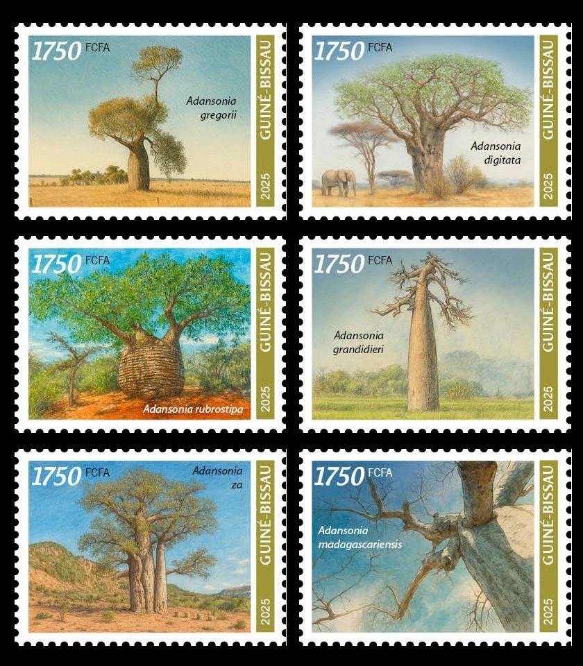 GUINEA BISSAU 2025 SET 6V - BAOBAB TREE TREES - MNH - Image 1 of 1