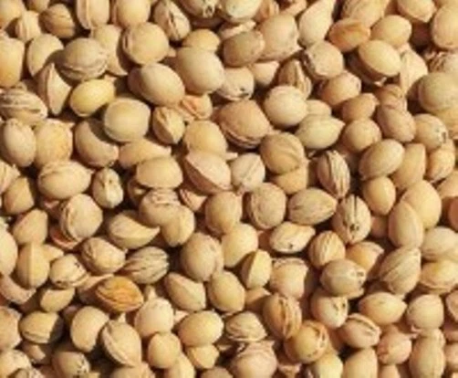 MEDICAL & CARE Noyaux de cerise en vrac Coussin chauffant noyaux de cerise séchés 7kg