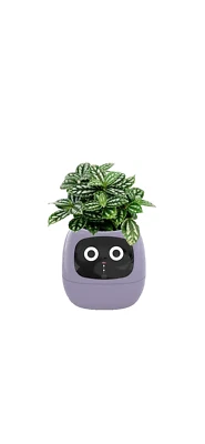 Interactive Smart Indoor Garden Planter App/Internet Control Purple - Изображение 1 из 4