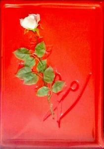 Eugenio Degani - "Rosa Forbici" - Dipinto su Plastica - Edizione di 12 - Picture 1 of 3