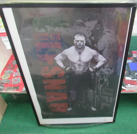 BROCK LESNAR POSTER NEW WRESTLER MMA CHAMP WWE TITLE UFC TITLE RARE COLLECTBLE Cover