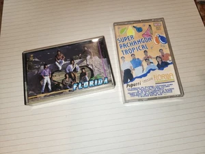 Grupo Florida Lote De 2 Cassettes Originales Musica Latina - Picture 1 of 3