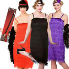 Flapper Costume + Holder Ladies 1920s Charleston Jazz 20s Womens Fancy Dress New