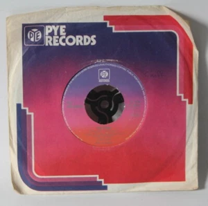 The Ragtimers ‎– The Sting - 1974 Vinyl 7" Single - Pye 7N 45323 - Picture 1 of 3