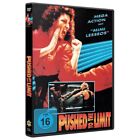 Pushed To The Limit   Cover A Dvd Mimi Lesseos Eidan Hanzei Verrel Reed