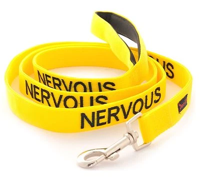 Relax Walk NERVOUS Dog Lead Safety Prevention Also Matching Yellow Collar