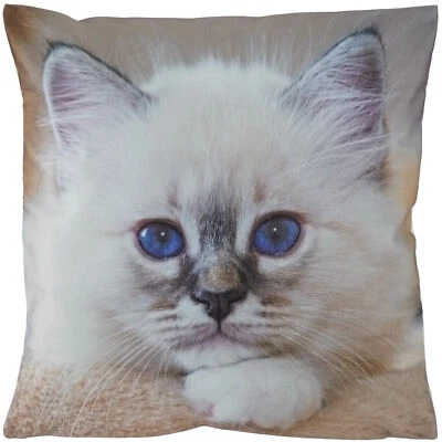 Kissenbezug Kissenhülle Kissen WEICH Katzenmotiv 40x40 Dekokissen Sofakissen - Bild 1 von 4