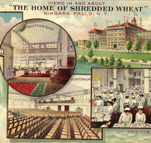 c.1910 Shredded Wheat Triscuit Factory View Collage Ad Postcard Niagara Falls NY - Picture 1 of 3